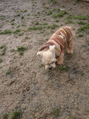 f:id:roukenhome-ann:20190110174228j:plain f:id:roukenhome-ann:20190110174228j:plain