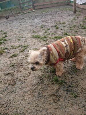 f:id:roukenhome-ann:20190110174234j:plain f:id:roukenhome-ann:20190110174234j:plain