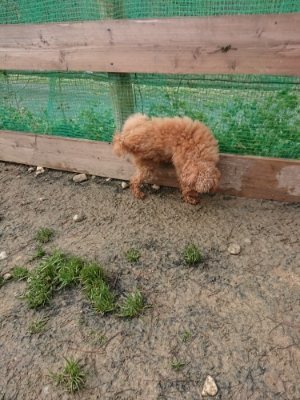 f:id:roukenhome-ann:20190110174302j:plain f:id:roukenhome-ann:20190110174302j:plain