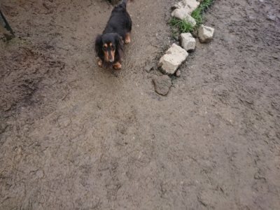 f:id:roukenhome-ann:20190110174328j:plain f:id:roukenhome-ann:20190110174328j:plain