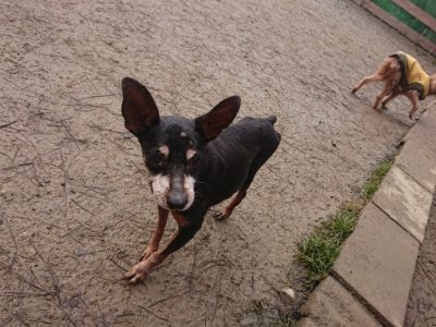 f:id:roukenhome-ann:20190110175005j:plain f:id:roukenhome-ann:20190110175005j:plain