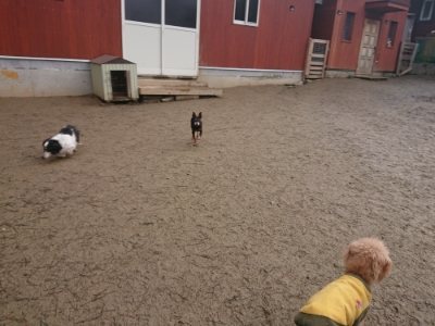 f:id:roukenhome-ann:20190110175104j:plain f:id:roukenhome-ann:20190110175104j:plain