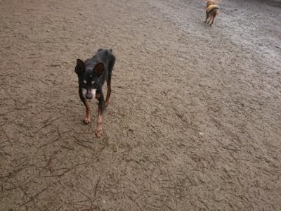 f:id:roukenhome-ann:20190110175136j:plain f:id:roukenhome-ann:20190110175136j:plain