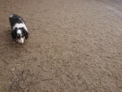 f:id:roukenhome-ann:20190110175141j:plain f:id:roukenhome-ann:20190110175141j:plain