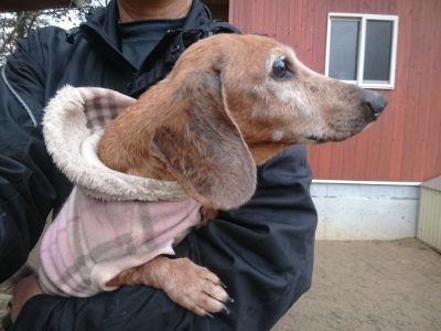 f:id:roukenhome-ann:20190110175201j:plain f:id:roukenhome-ann:20190110175201j:plain