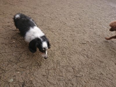 f:id:roukenhome-ann:20190110175206j:plain f:id:roukenhome-ann:20190110175206j:plain