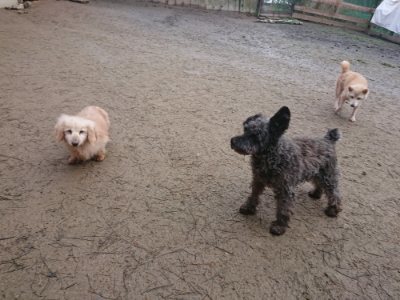 f:id:roukenhome-ann:20190110175216j:plain f:id:roukenhome-ann:20190110175216j:plain