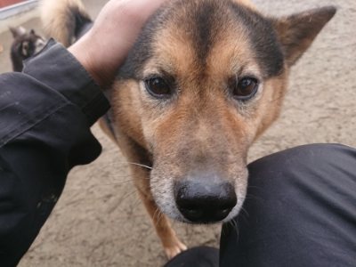 f:id:roukenhome-ann:20190110175330j:plain f:id:roukenhome-ann:20190110175330j:plain