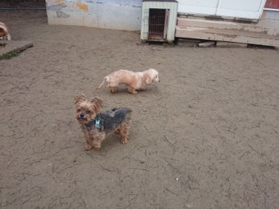 f:id:roukenhome-ann:20190110175344j:plain f:id:roukenhome-ann:20190110175344j:plain