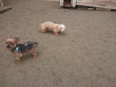 f:id:roukenhome-ann:20190110175352j:plain f:id:roukenhome-ann:20190110175352j:plain