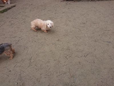 f:id:roukenhome-ann:20190110175358j:plain f:id:roukenhome-ann:20190110175358j:plain