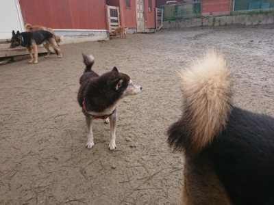 f:id:roukenhome-ann:20190110175413j:plain f:id:roukenhome-ann:20190110175413j:plain