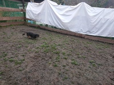 f:id:roukenhome-ann:20190110175419j:plain f:id:roukenhome-ann:20190110175419j:plain