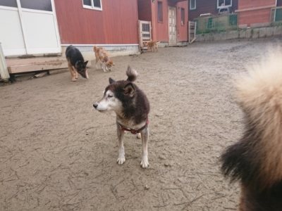 f:id:roukenhome-ann:20190110175432j:plain f:id:roukenhome-ann:20190110175432j:plain