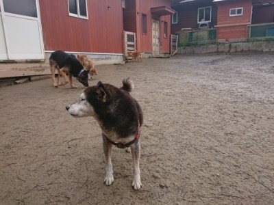 f:id:roukenhome-ann:20190110175437j:plain f:id:roukenhome-ann:20190110175437j:plain