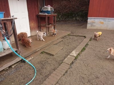 f:id:roukenhome-ann:20190110181807j:plain