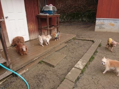 f:id:roukenhome-ann:20190110181823j:plain