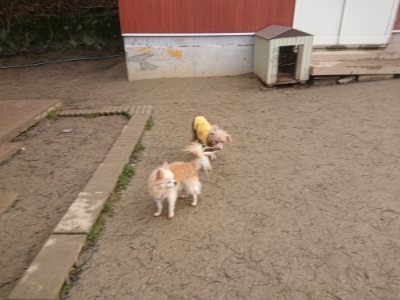 f:id:roukenhome-ann:20190110181829j:plain