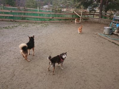 f:id:roukenhome-ann:20190110181858j:plain