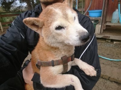 f:id:roukenhome-ann:20190110181947j:plain