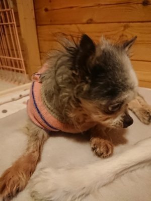 f:id:roukenhome-ann:20190110181958j:plain