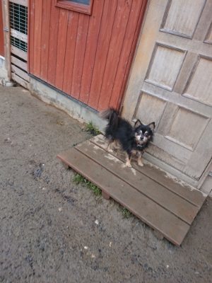 f:id:roukenhome-ann:20190110182013j:plain