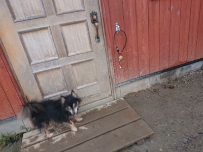 f:id:roukenhome-ann:20190110182026j:plain