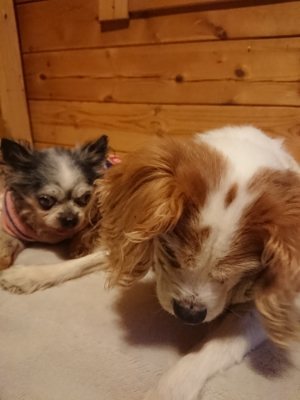 f:id:roukenhome-ann:20190110182058j:plain