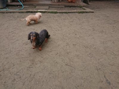 f:id:roukenhome-ann:20190110182104j:plain