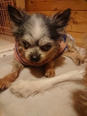 f:id:roukenhome-ann:20190110182124j:plain