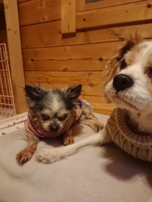 f:id:roukenhome-ann:20190110182252j:plain