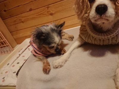 f:id:roukenhome-ann:20190110182259j:plain