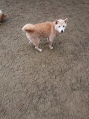 f:id:roukenhome-ann:20190110182303j:plain