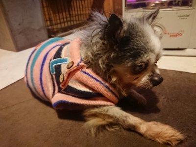 f:id:roukenhome-ann:20190110182323j:plain