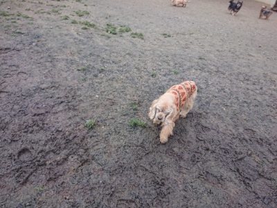 f:id:roukenhome-ann:20190110182413j:plain