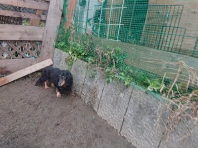 f:id:roukenhome-ann:20190110182507j:plain