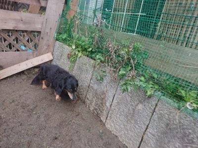f:id:roukenhome-ann:20190110182512j:plain