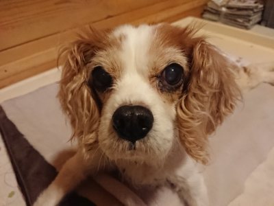 f:id:roukenhome-ann:20190110182522j:plain