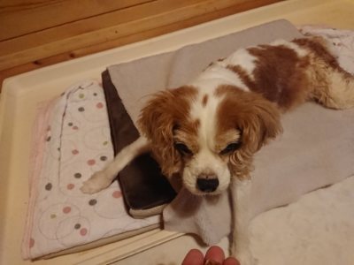 f:id:roukenhome-ann:20190110182548j:plain