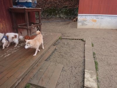 f:id:roukenhome-ann:20190110183737j:plain