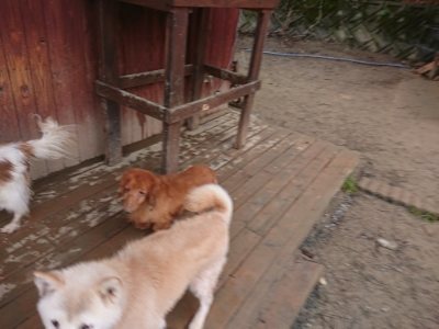 f:id:roukenhome-ann:20190110183808j:plain