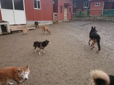 f:id:roukenhome-ann:20190110184017j:plain