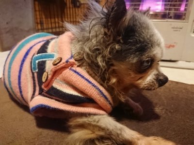 f:id:roukenhome-ann:20190110184021j:plain