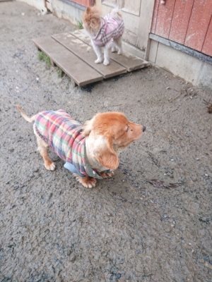 f:id:roukenhome-ann:20190110184113j:plain