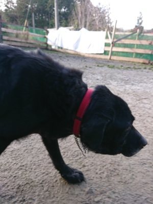f:id:roukenhome-ann:20190111191643j:plain