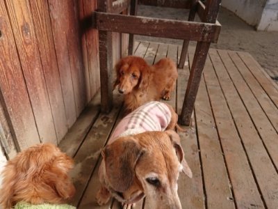 f:id:roukenhome-ann:20190111192301j:plain
