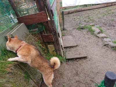 f:id:roukenhome-ann:20190111192322j:plain