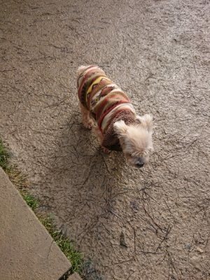 f:id:roukenhome-ann:20190111192337j:plain