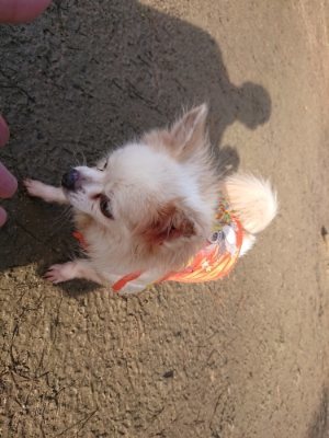 f:id:roukenhome-ann:20190111192447j:plain