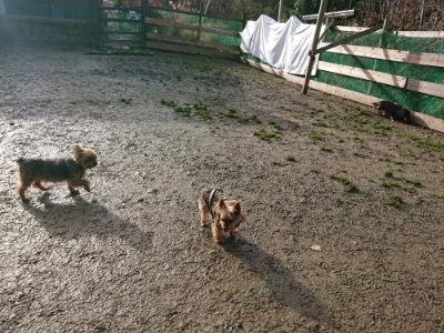 f:id:roukenhome-ann:20190111193847j:plain